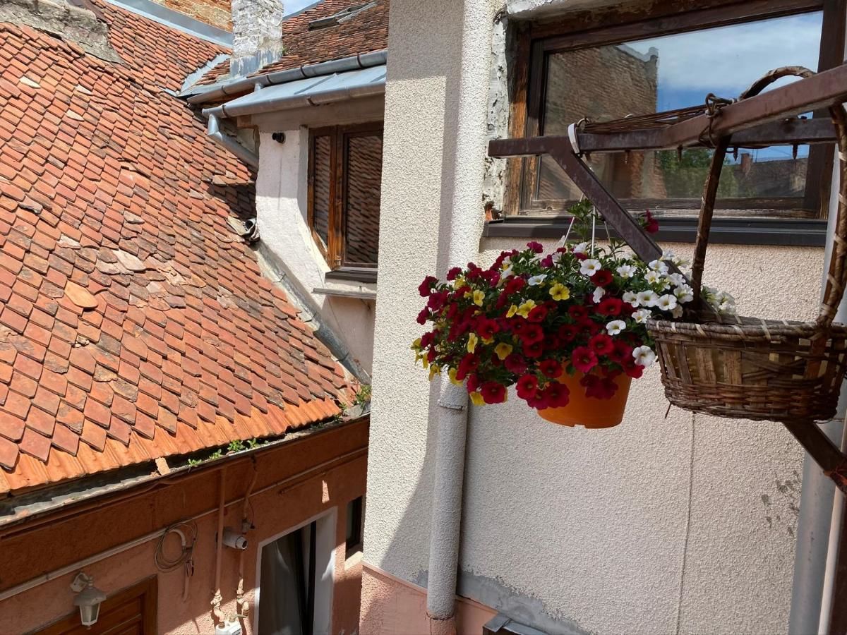 Гостевой дом Casa Marieta Брашов-22